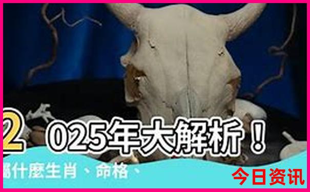 橄榄坝最漂亮三个地方