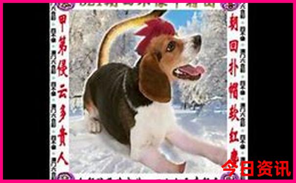 大阪7月份适合旅游吗